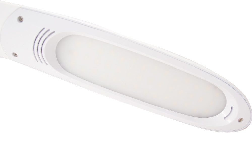 Stella Desk Lamp